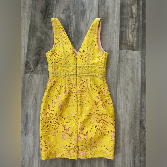 Anthropologie Maeve Yellow Gardenia Crochet Sleeveless V-Neck Lace Column Dress - Picture 5 of 5